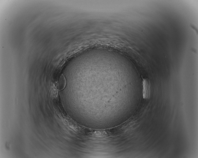 X0000103241491200809041035