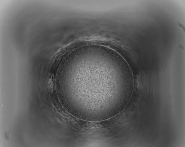 X0000103241493200809041035