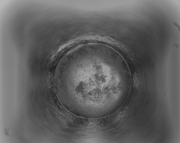 X0000103241494200809041035
