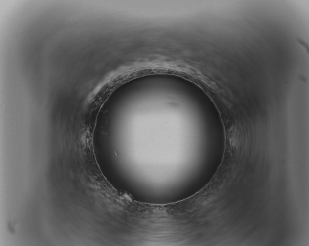 X0000103241495200809041035
