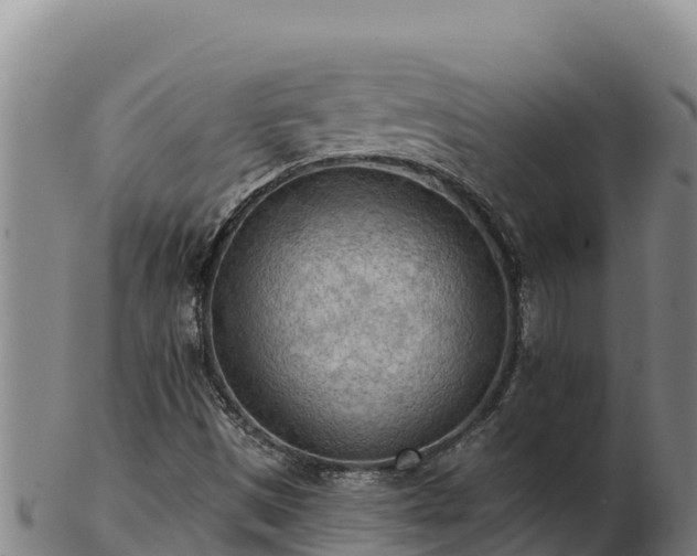 X0000103241497200809041035