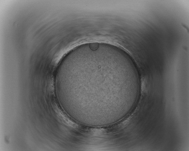 X0000103241498200809041035