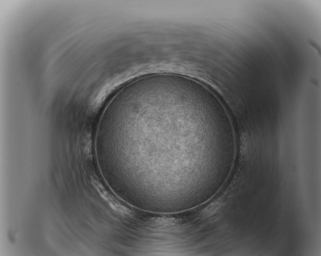 X0000103241499200809041035