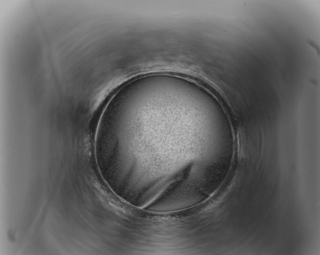X0000103241501200809041035