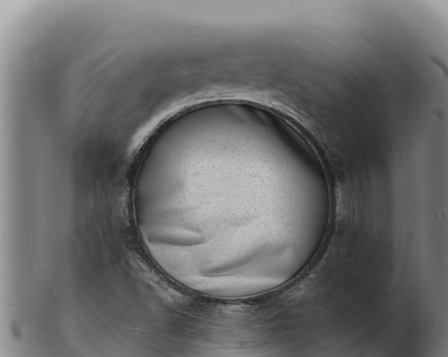 X0000103241502200809041035