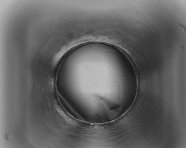 X0000103241503200809041035