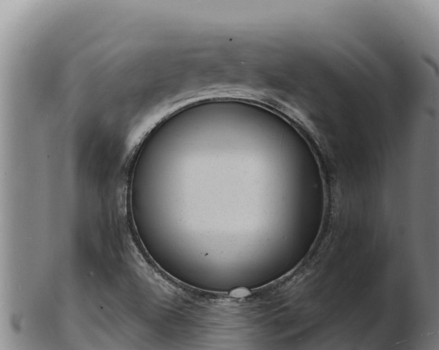 X0000103241504200809041035