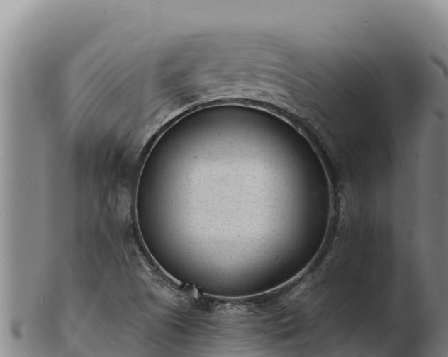 X0000103241505200809041035