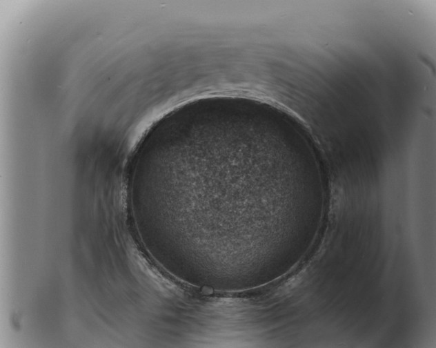 X0000103241506200809041035