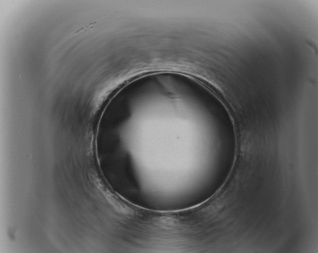 X0000103241507200809041035