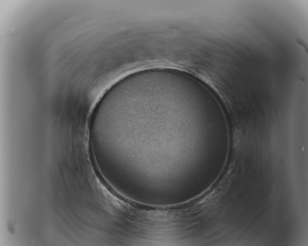 X0000103241508200809041035