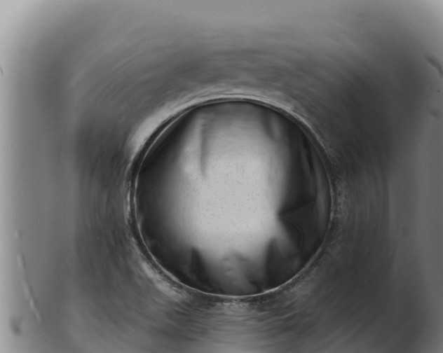 X0000103241511200809041035