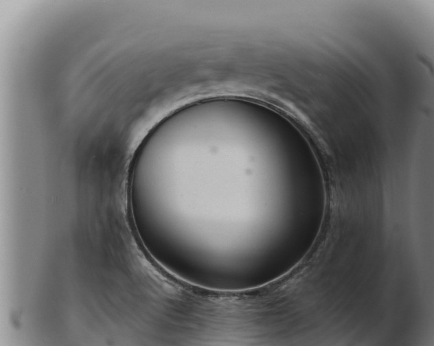 X0000103241512200809041035