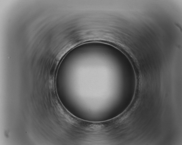 X0000103241513200809041035