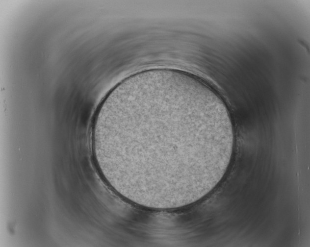 X0000103241514200809041035