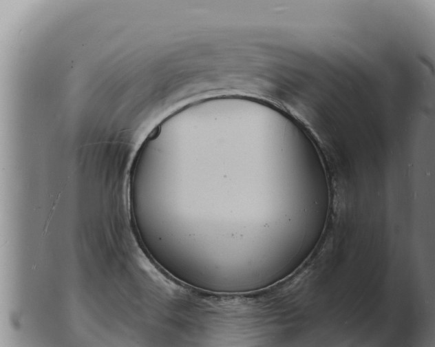 X0000103241516200809041035