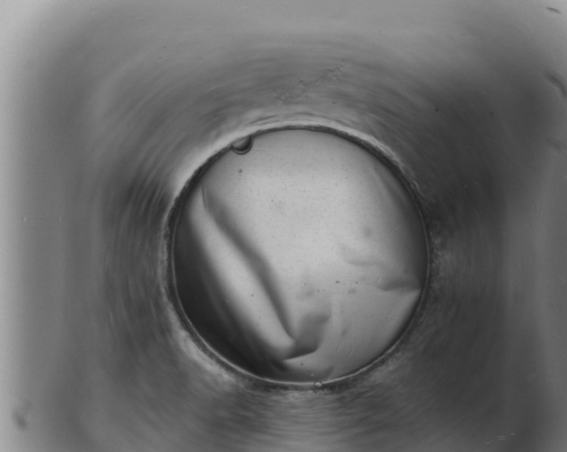 X0000103241518200809041035