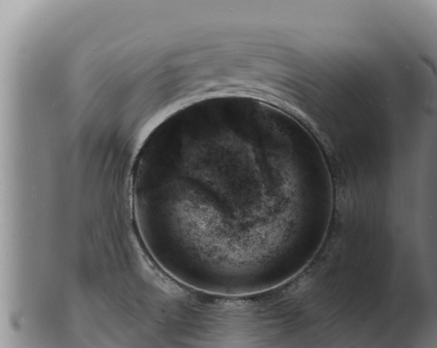 X0000103241522200809041035
