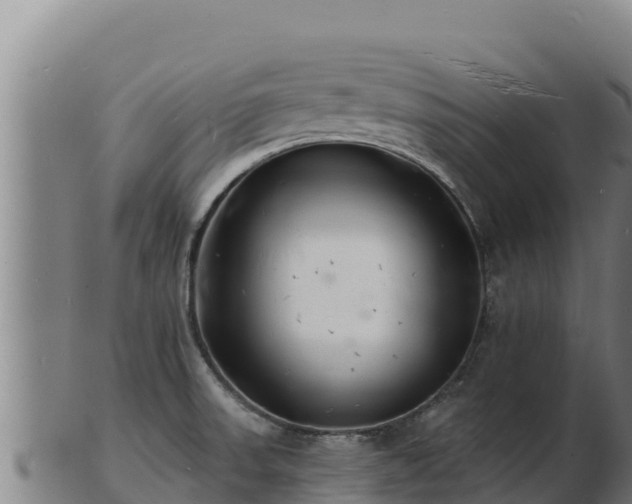 X0000103241523200809041035