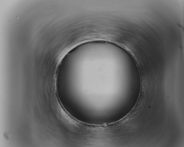X0000103241524200809041035