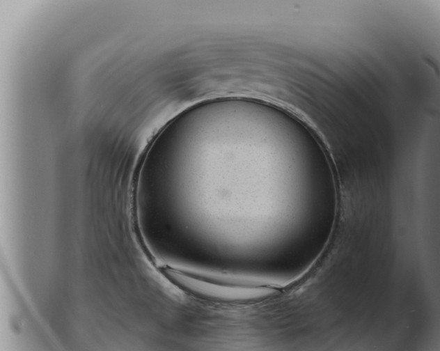 X0000103241525200809041035