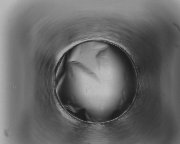 X0000103241526200809041035