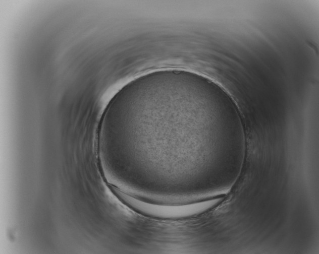 X0000103241527200809041035