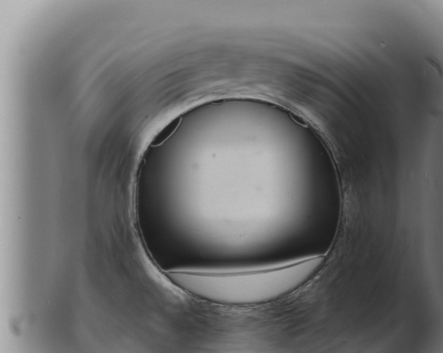 X0000103241528200809041035
