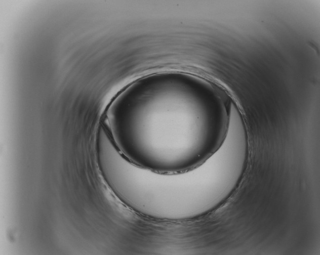 X0000103241530200809041035