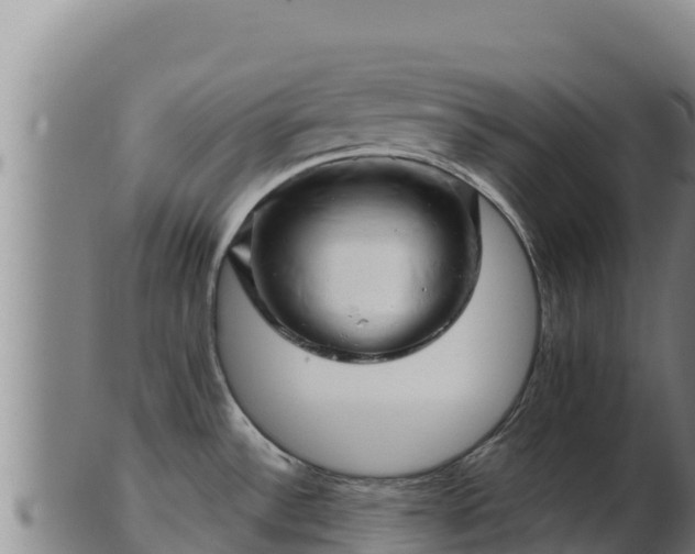 X0000103241532200809041035
