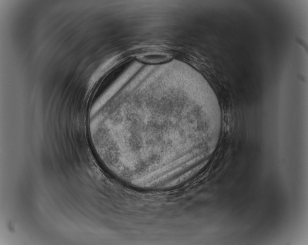 X0000103240004200809111607