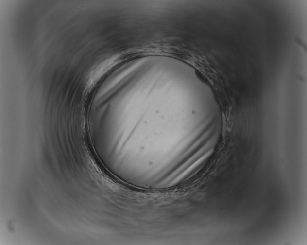 X0000103240005200809111607