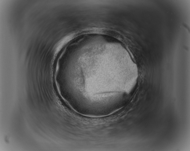 X0000103240006200809111607