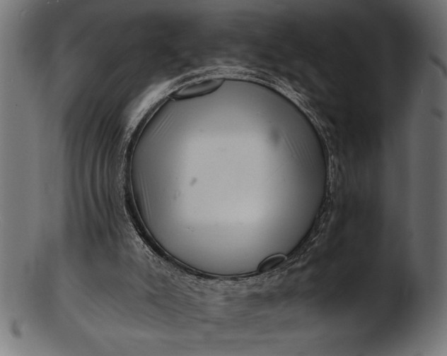 X0000103240007200809111607