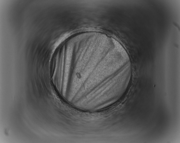 X0000103240008200809111607