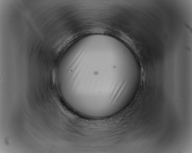 X0000103240013200809111607