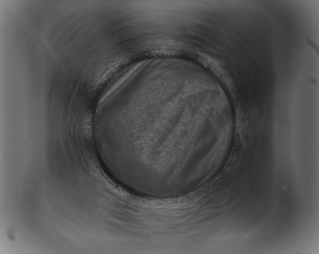 X0000103240017200809111607