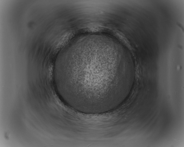 X0000103240018200809111607