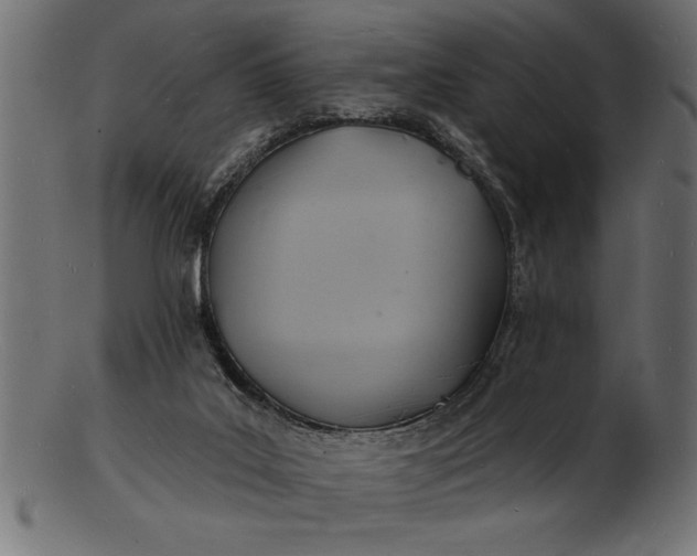 X0000103240019200809111607