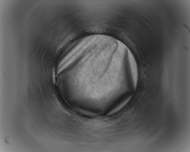 X0000103240020200809111607