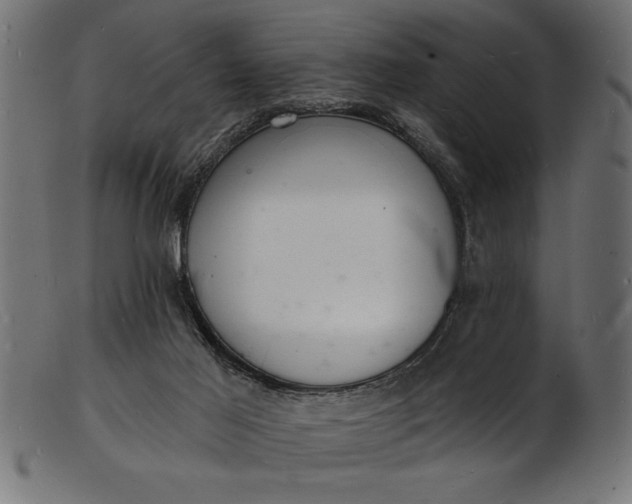 X0000103240021200809111607