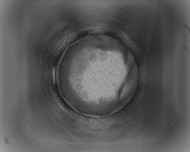 X0000103240022200809111607