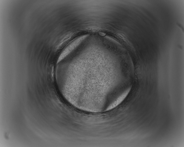 X0000103240024200809111607