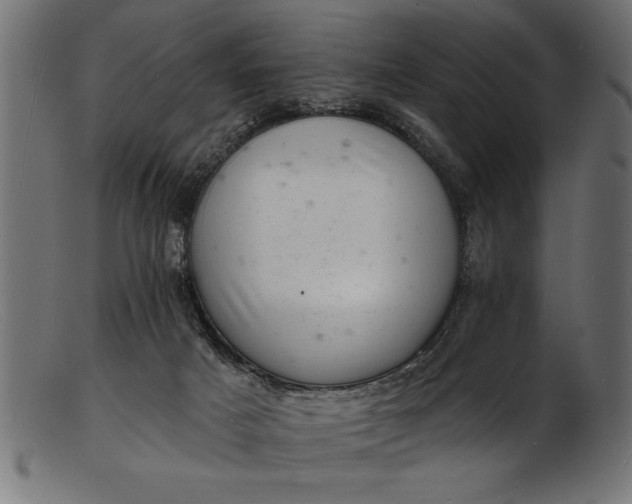 X0000103240025200809111607