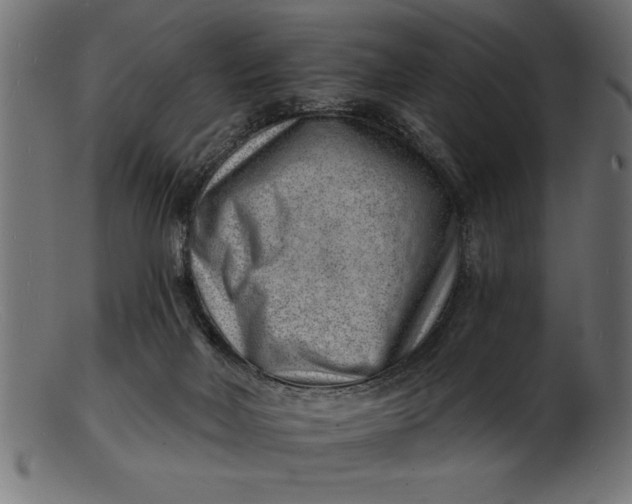 X0000103240026200809111607