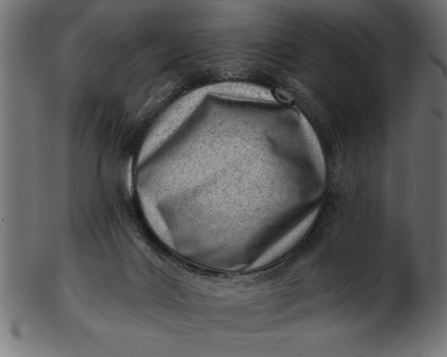 X0000103240028200809111607