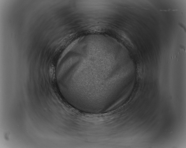 X0000103240029200809111607