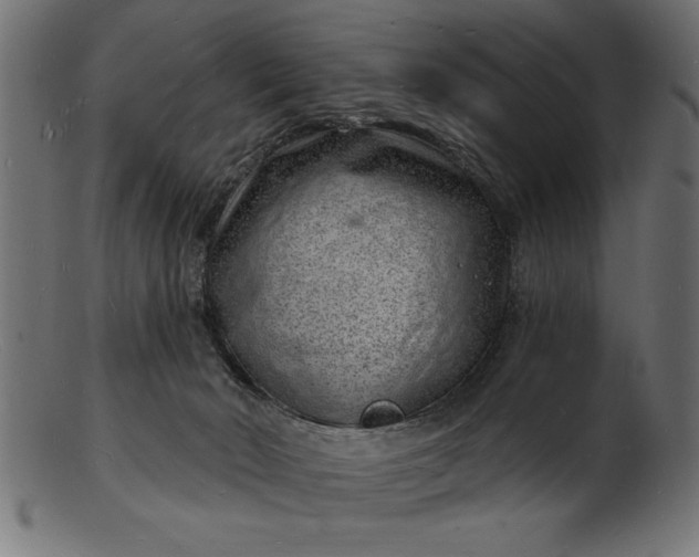 X0000103240030200809111607