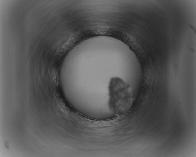 X0000103240031200809111607