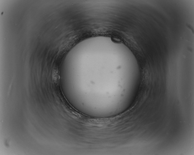 X0000103240033200809111607